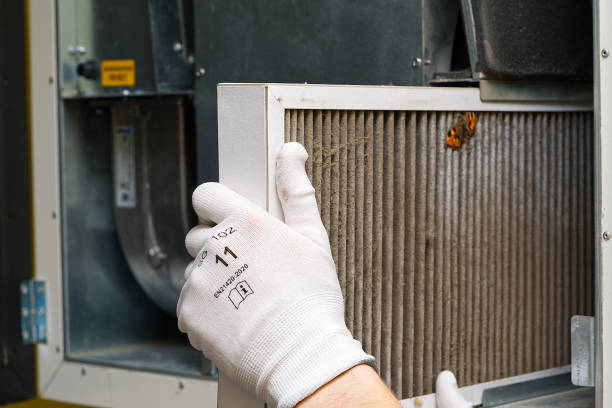 Air Duct Mold Removal in Tonopah, NV