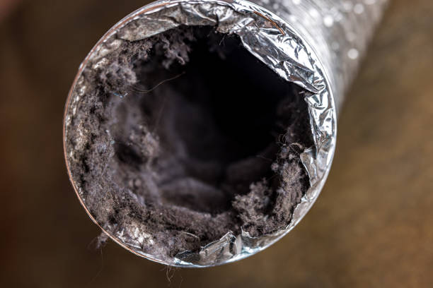 Best Emergency Air Duct Cleaning  in Tonopah, NV