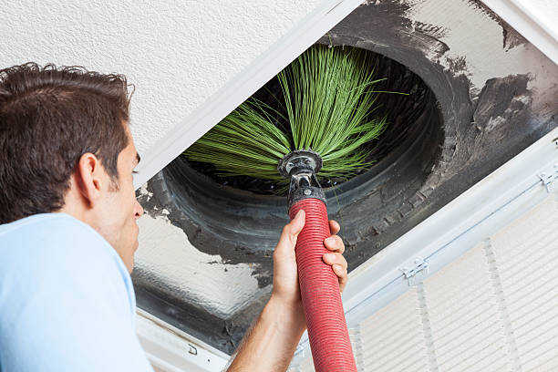 Best Affordable Duct Cleaning Services  in Tonopah, NV
